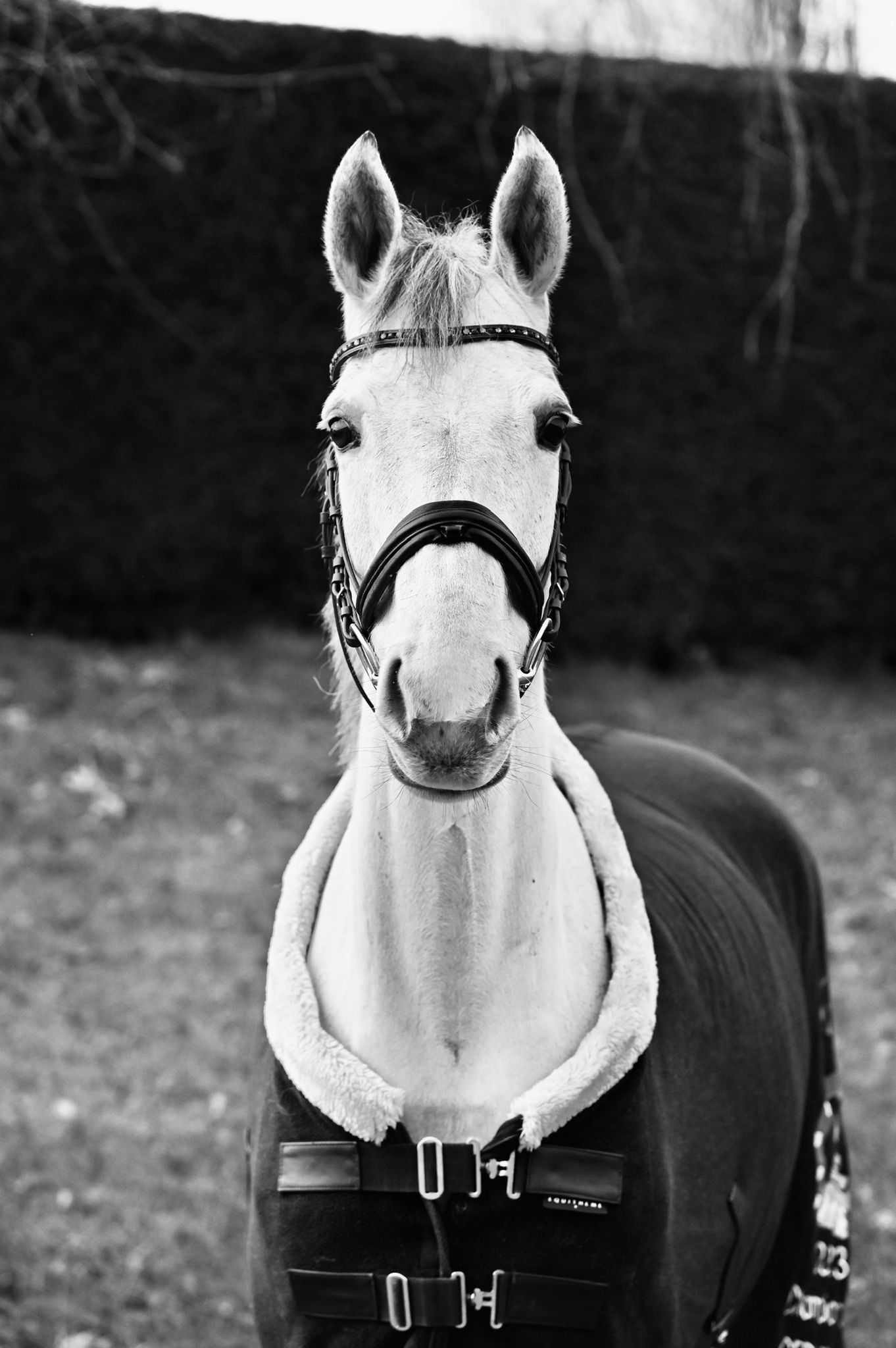 Galerie photo